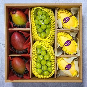 과일선물세트 샤인머스켓 나주배 부사 사과 추석 설 명절  레드향 한라봉