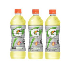 게토레이 레몬 600ml x 20pet 대용량 스포츠 음료 학교 단체 간식