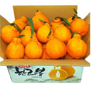고당도 노지 한라봉 10KG 혼합과 / 당일수확