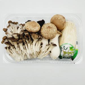 국내산 무농약 친환경 모듬버섯 800g  버섯모음