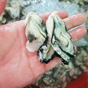 국내산 통영 생굴 깐생굴 1kg 국내산 남해안 생굴