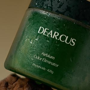 디어커스 에어비움 고체탈취제 420g (피톤치드) 특대형 초강력 화장실 실내 집안 자동차 옷장 담배 냄새제거