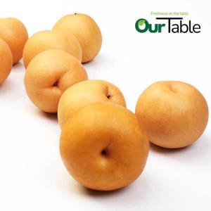 나주 배 신고배 가정용 5kg (14~18과) 작은사이즈