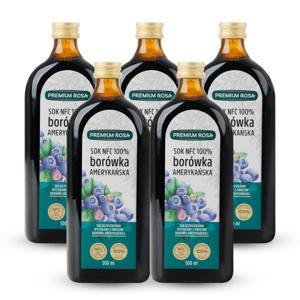 프리미엄로사 블루베리 원액 즙 100% 5병