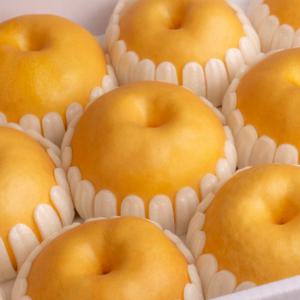 과일선물세트 나주배 추석 설 명절  5kg 중과 9~10과 / (대과/특대과 옵션 선택도 가능합니다)