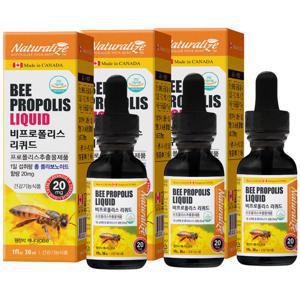캐나다 비 프로폴리스 리퀴드 30ml 3병 액상 원액 PROPOLIS 플라보노이드 소비기한 27년 4월 10일