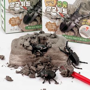 랜덤 곤충 발굴키트 diy 집중력 향상 학교 수업 12개세트