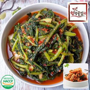 [함평골김치] 감칠맛이 풍부한 전라도 열무김치3kg+맛김치2kg