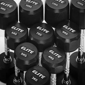 베스코 아령 PEV 12각아령 5kg 헬스 홈트레이닝 무게