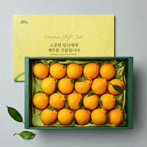 이제주 고당도 한라봉 선물세트 4.5kg (17과 내외)