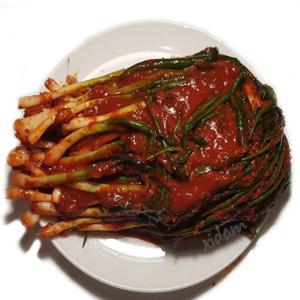 옐로우 남도 파김치 5kg