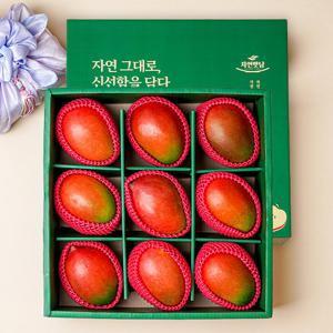[보자기동봉] 정성 애플망고 (9수) 과일 선물세트