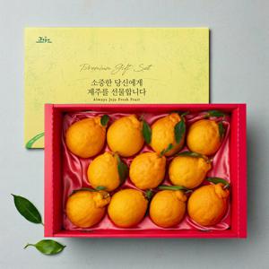 이제주 고당도 한라봉 선물세트 2.5kg (14과 내외)