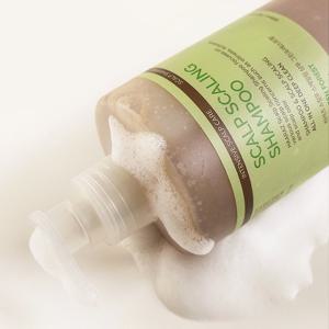 [체험특가] 하라즈 스칼프 스케일링 스크럽 샴푸 그린포레스트향 500ml