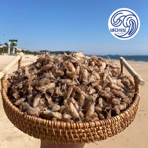 국산 꼴뚜기 300g 상급 건꼴뚜기 마른꼴뚜기 건어물