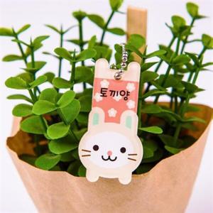 아트박스/디자인아지트 [주문제작]캐릭터열쇠고리애니멀