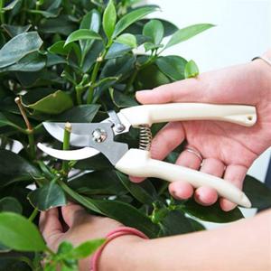 전지가위 원예 다용도 가위