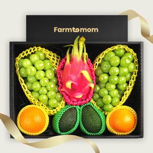 일품1호 혼합 과일선물세트 (샤인2개, 오렌지2개, 용과1개, 아보카도2개)