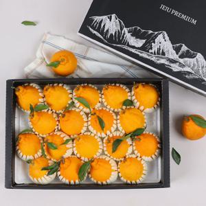 제주 한라봉 명품 선물세트 5kg (큰봉/11-18과) 부직포가방포장