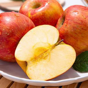 경북 부사 사과 흠과 주스용 3kg (랜덤과)