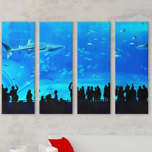 아트박스/꾸밈 cx540-우미타마고_수족관_대형노프레임세트