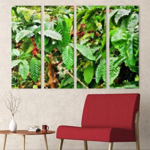 아트박스/꾸밈 cu519-커피나무_대형노프레임세트