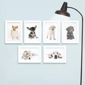 아트박스/꾸밈 cu482-마이펫_강아지_액자세트