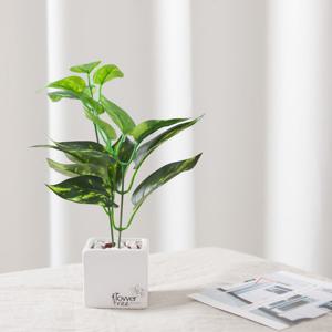 스킨답서스 조화 화분 사각 set 20cm 인테리어 식물 테이블 장식 소품 꾸미기