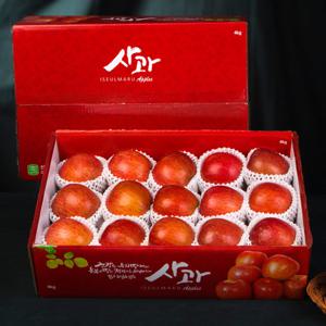 [이슬마루] 경북 사과 선물세트 4kg(14~16과내외)