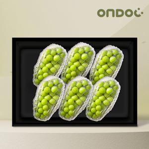 [온도씨] 샤인머스켓 선물세트 3kg (5-6수)