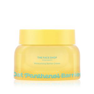 더페이스샵 오트 판테놀 보습장벽 크림 60ml