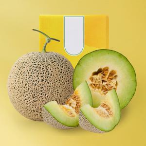 [맛딜] 프리미엄 세지 멜론 과일 선물세트 1.6kg