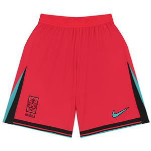 나이키 코리아 드라이 핏 ADV 어센틱 홈 쇼츠 국대 유니폼 (FJ1282-679)