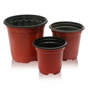 양면이색 컵포트 지름12cm 1BOX(1500개) . 플라스틱 미니 모종 컵 화분.