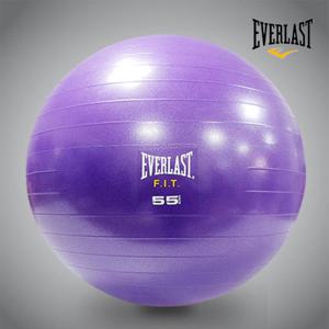 에버라스트 짐볼 파워코어 55cm 안티버스트 스트레칭 요가용품