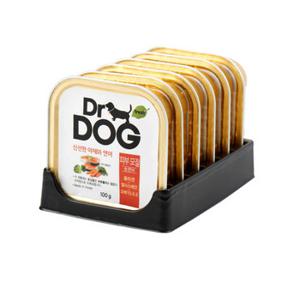 [닥터독] 피부모질 캔 연어 100g 6개