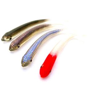 홀로그램 미노우 웜 루어 낚시 소프트베이트 송어낚시