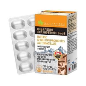 [메이플트리] 메이플트리 장용성 100억 프로바이오틱스 생유산균 500mg x 60캡슐