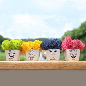 메세지이모티콘 스칸디아모스 화분-습기제거,공기정화