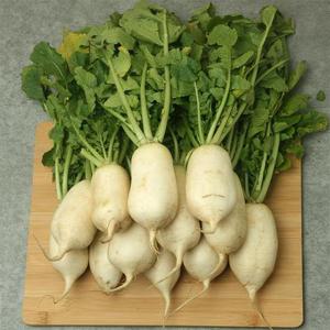 단양 알타리절임 3.5kg