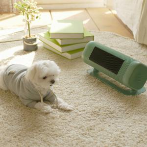 [아이프리] 시즌2 사무실 가정용 전기 발난로  욕실 미니 온풍기 회전식(리모컨있음)