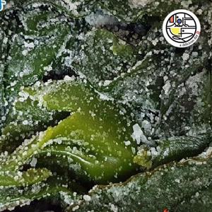 완도 염장 미역 2kg