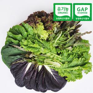 [푸르젠] 당일 수확 출고 유기농 쌈채소 1kg
