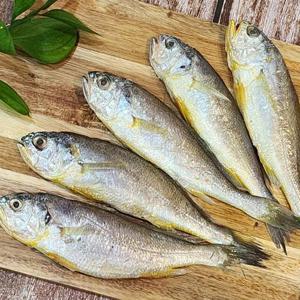 국내산 영광 법성포 조기굴비 가정용 1kg