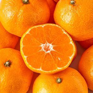 [제주직송] 조생감귤 4.5kg 로얄과