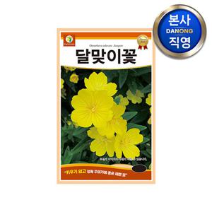 달맞이꽃 씨앗 1g . 월견초 조경 정원 꽃밭 관상용 야생화 꾸미기 꽃씨 종자.