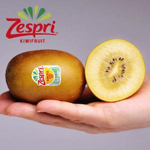 [웰굿] 국내산 제주 제스프리 골드키위 3kg(20과내외,점보과)