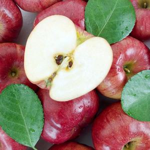 [더조은] 경북 홍로 사과 주스용 6kg 랜덤과