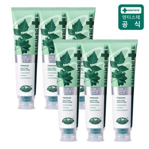 [덴티스테] 플러스화이트 프로 치약 160g 6개 불소함유
