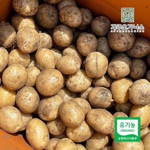 제주오가닉스 유기농 겨울 감자 5kg (제주산, 실중량)